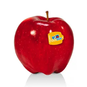 Táo Đỏ Pháp - Nova Blue - Gala - French Red Apple - Size 88 - BLUE WHALE