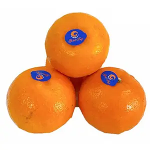 Quýt Mật Úc Loại 1 - Honey Murcott - Australian Mandarin - 2.P.H. CITRUS