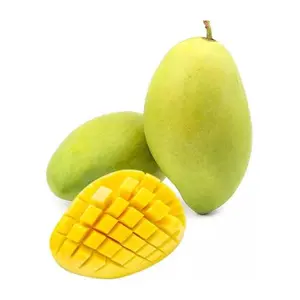 Xoài Cát Hòa Lộc - Hoa Loc Mango - KHAI NGUYEN