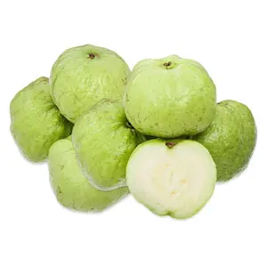 Ổi Nữ Hoàng - Queen Guava - OCOP