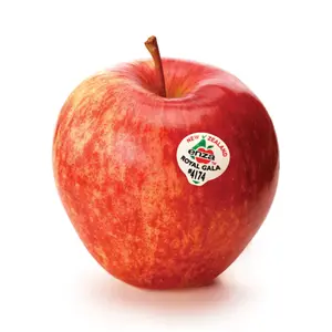 Táo Đỏ New Zealand - Royal Gala - New Zealand Red Apple - Size 90 - FRESHCO