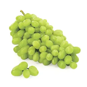 Nho Xanh Không Hạt Úc - Sweet Globe - Australian Green Seedless Grapes - CORDOMA