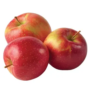 Táo Đỏ Mỹ - Gala - US Red Apple - Size 100 - HONEYBEAR