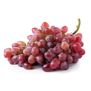 Nho Đỏ Không Hạt Mỹ - Allison - Red Seedless Grapes - SUNVIEW