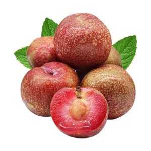 Mận Hậu Bắc Giang - Vietnamese Ruby Plum - NONBRAND