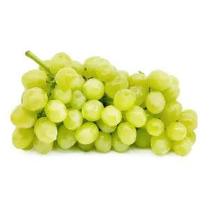 Nho Xanh Không Hạt Chile - Sweet Globe - Chilean Green Seedless Grapes - CARSAL