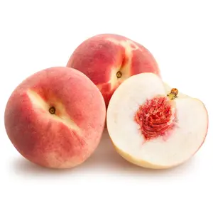 Đào Trắng Úc - Snow Fox - White Peach - V.F. SICILIANO & SONS