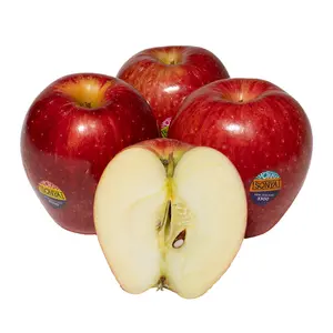 Táo Đỏ New Zealand - Sonya - New Zealand Red Apple - Size 30 - FRESHCO