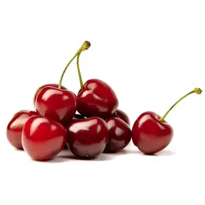 Cherry Đỏ Mỹ - Northwest Cherries - Size 9.5 - SAGE FRUIT