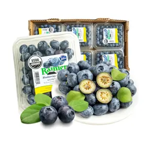 Việt Quất Mỹ Hữu Cơ - Organic Blueberries - 4.4 oz (125g) - RAINIER