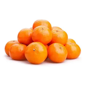 Quýt Mật Trung Quốc - Honey Murcott - Fresh Premium Mandarin - A.P.H. CITRUS