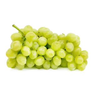 Nho Xanh Không Hạt Mỹ - American Dream - Ivory Green Seedless Grapes - CMI ORCHARDS