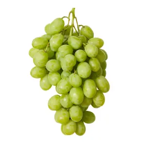Nho Xanh Không Hạt Mỹ - Ivory Sheegene 21 - White Seedless Grapes - BRAVANTE VINEYARDS