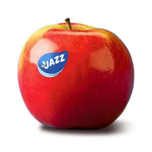 Táo Đỏ New Zealand - Jazz - New Zealand Red Apple - Size 80 - GOLDEN BAY FRUIT