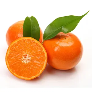 Quýt Mật Úc - Honey Murcott - Australian Sweet & Juicy Mandarins - SEVEN FIELDS