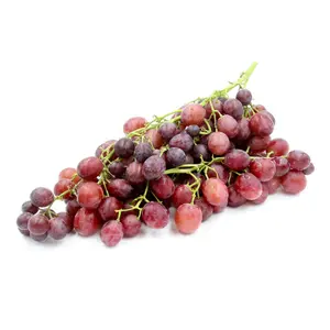 Nho Đỏ Kẹo Mỹ - Sweet Scarlet - Red Seedless Grapes (454g) - VIGNOLO FARMS