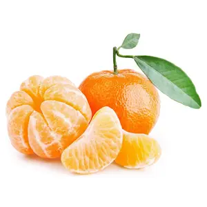 Quýt Úc - Australian Low Seed Honey Murcott - Blue Gum Sweet Mandarins - IRONBARK CITRUS