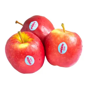 Táo Đỏ New Zealand - Breeze - New Zealand Red Apple - Size 80 - FRESHCO