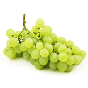 Nho Xanh Không Hạt Peru - AutumnCrisp - Don Luis Green Seedless Table Grapes - IPG