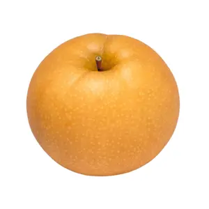 Lê Hàn Quốc - Premium Korean Pear - EVERGOOD