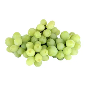 Nho Xanh Không Hạt Mỹ - Premium Sweet Globe - Green Seedless Table Grapes - IPG