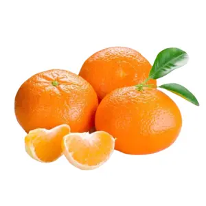 Quýt Úc - Australian Mandarin - ROTH'S CITRUS