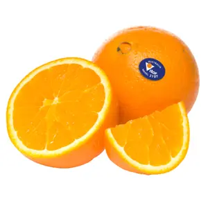 Cam Vàng Úc - Australian Navel Orange - VITOR