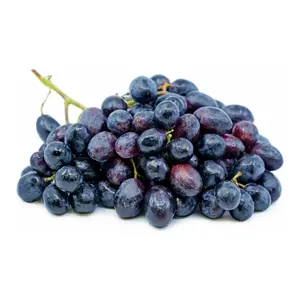 Nho Đen Không Hạt Mỹ - California Black Seedless Grapes - GRAPES FROM CALIFORNIA