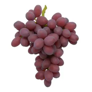 Nho Đỏ Không Hạt Mỹ - Scarlet Royal - Red Seedless Grapes - BRAVANTE VINEYARDS
