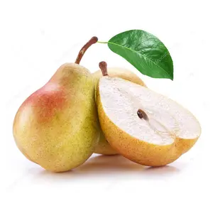 Lê Đỏ Bỉ - Belgian Pear - QTEE