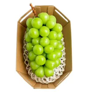 Cherry Úc Size Đại - Premium Cherries - Size 30-32 - KOALA