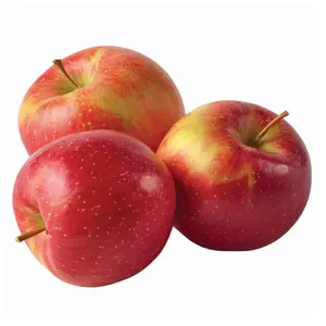 Táo Mật Mỹ - EverCrisp - US Red Apple - TASTE OF LOVE