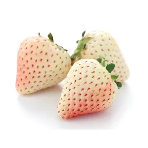 Dâu Trắng Hàn Quốc - Super Premium Korean Pineberry (500g) - K-BERRY