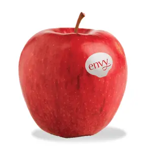 Táo Đỏ New Zealand  - Envy - New Zealand Red Apple - Size 100 - ENVY