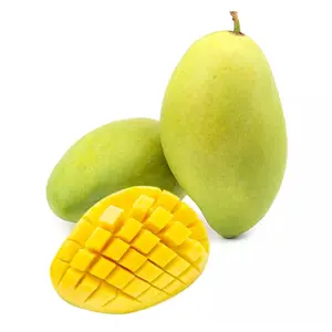 Xoài Cát Hòa Lộc - Hoa Loc Mango - OCOP