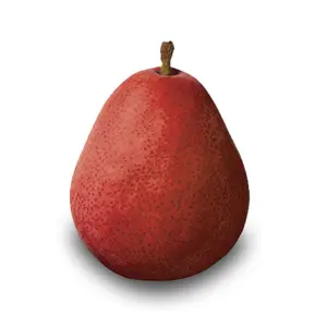 Lê Đỏ Mỹ - Washington Red D`Anjou Pear - RIVER VALLEY PEARS