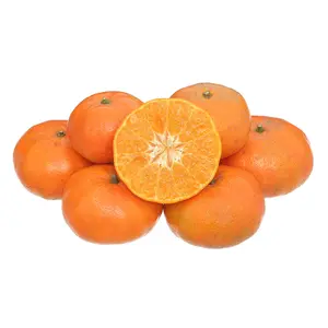 Cam Canh - Canh Orange - NONBRAND