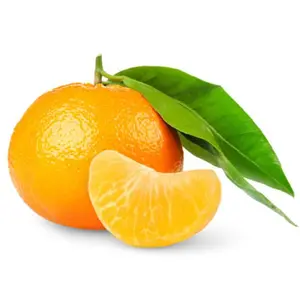 Quýt Mật Úc - Honey Murcott - Australian Mandarin - BENYENDA CITRUS