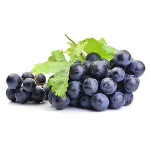 Nho Đen Nam Phi - South African Black Seedless Grapes - SAVANNAH