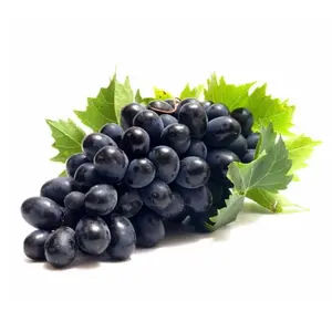 Nho Đen Nam Phi Size Jumbo - Black Seedless Grapes - ANGON FRUIT