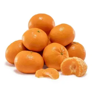 Quýt Mật Ai Cập - Honey Murcott - Egyptian Mandarin - MAFA