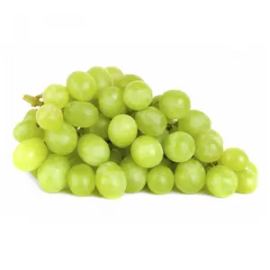 Nho Xanh Không Hạt Nam Phi - AutumnCrisp - South African Green Seedless Grapes - SAVANNAH
