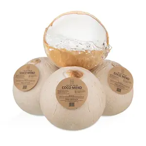 Dừa Xiêm Xanh - Fresh Coconut - Size M (400g - 500g) - COCO MEKO