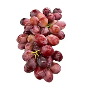 Nho Đỏ Kẹo Úc - Hellooo - Candy Hearts Red Seedless Grapes - GRAPE CO AUSTRALIA
