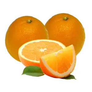 Cam Vàng Mỹ - High Brix Premium Navels - Heirloom Navel Orange - VINTAGE SWEETS