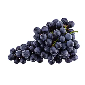 Nho Đen Nam Phi Không Hạt - Black Seedless Grapes - ASV