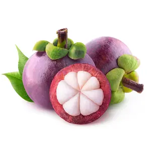 Măng Cụt Thái Lan - Thai Mangosteen - MUOI