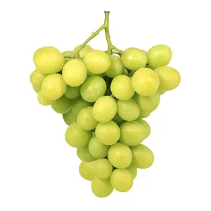 Nho Xanh Không Hạt Úc - AutumnCrisp - Green Seedless Grapes - SUN WORLD