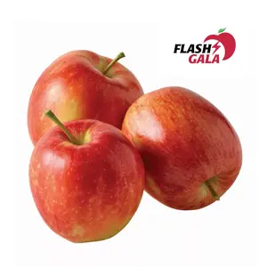Táo Đỏ Nam Phi - Gala - South African Red Apples (3kg) - FLASH GALA
