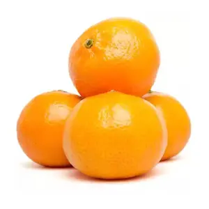 Quýt Mật Úc - Honey Murcott - Australian Mandarin - 2.P.H. CITRUS